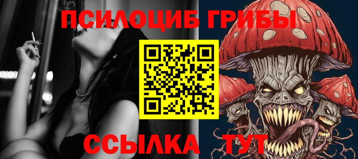 где купить наркоту  Псилоцибиновые грибы прущие грибы  Вход с VPN  Трёхгорный  Галлюциногенные грибы MAGIC MUSHROOMS 