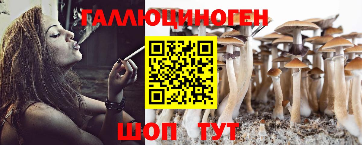 Галлюциногенные грибы MAGIC MUSHROOMS Трёхгорный